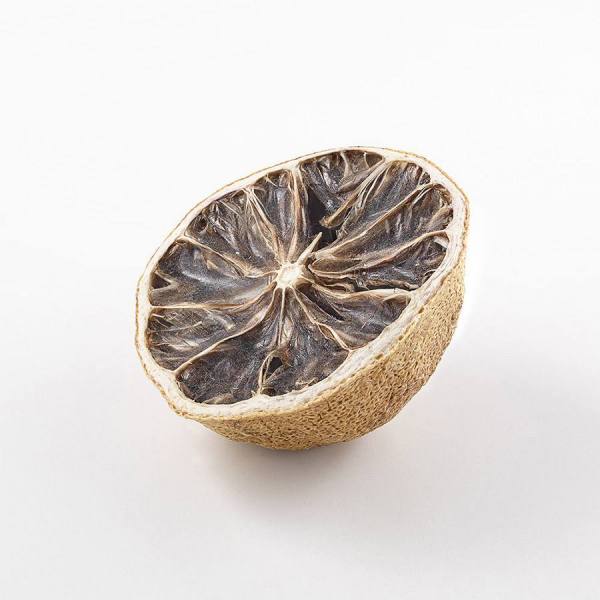 Photograph Gonzalo Puertas Lemon  Belonging To Gonzalo Puertas  2012 Calendar on One Eyeland